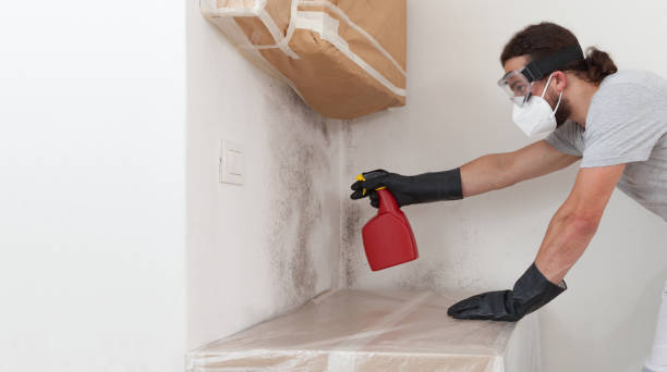 Professional Mold Inspection And Testing technician working in Three Oaks, FL